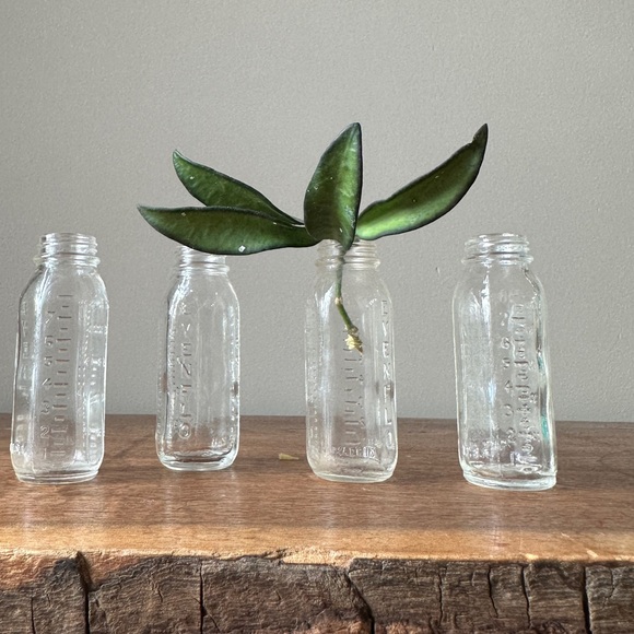 Vintage Glass Bottles Evenflow Baby Doll Accessories Glass Propagation Set of 4 - Picture 2 of 5
